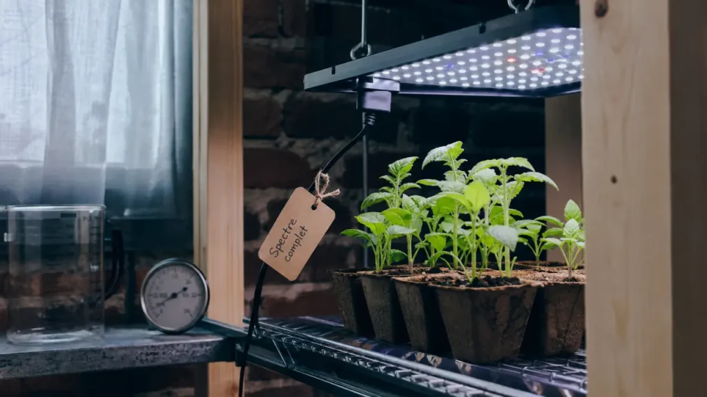 Lampe horticole LED : moins de chaleur, spectre adapté et 80 % d’énergie en moins