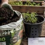 Terreau potager bio pour semis en pot, substrat aéré en main