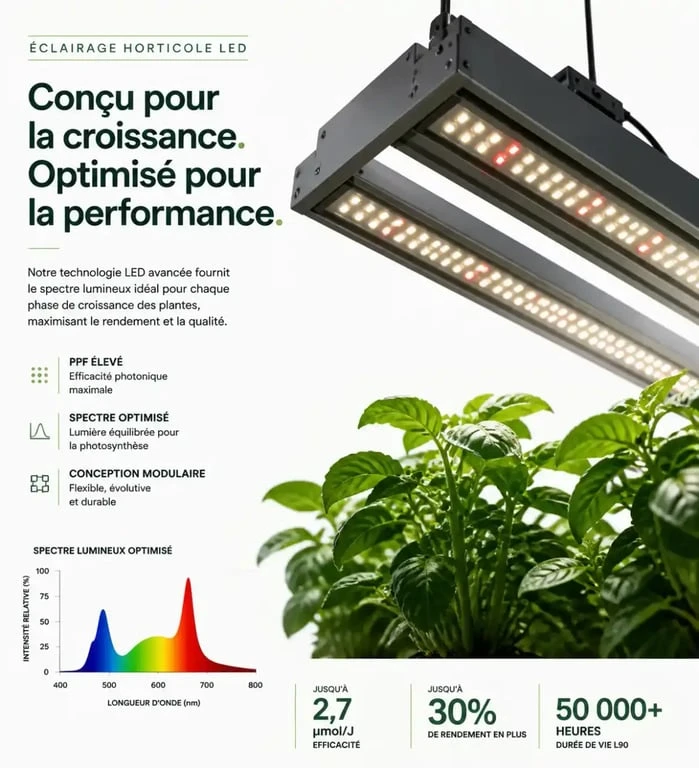 Éclairage horticole LED pour culture indoor à Mérignac