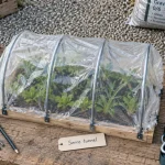Fabriquer une serre de jardin : serre tunnel en arceaux métalliques et bâche plastique